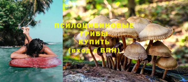 круглые Осташков