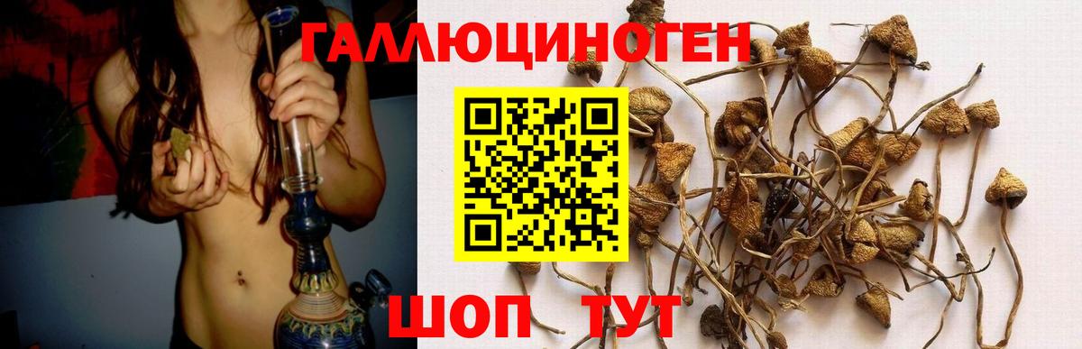 ГАШ  Cocaine  МДМА  Вход с VPN  Серов  Меф   Конопля 